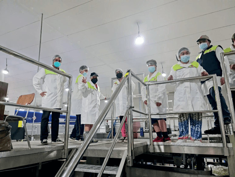 Que hacemos Fundación Hijos de María