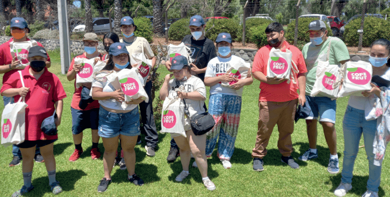 Que hacemos Fundación Hijos de María